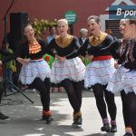 festival-cvijeća-zadarske-županiije-2016-20