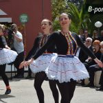 festival-cvijeća-zadarske-županiije-2016-22