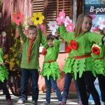 festival-cvijeća-zadarske-županiije-2016-24