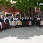 festival-cvijeća-zadarske-županiije-2016-7