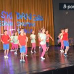 smotra-plesnih-skupina-2016-38